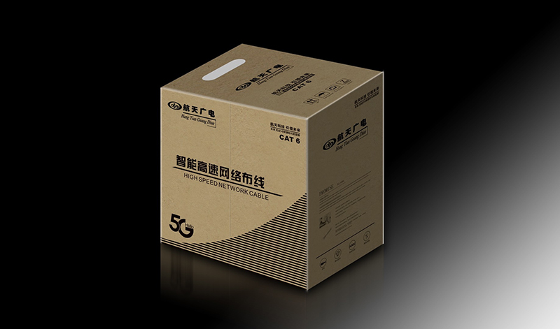 ���ܸ������粼��  CAT 6