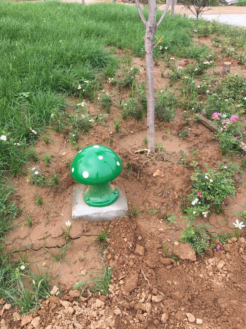 ̫���ɡ�(�й���)���޹�˾����